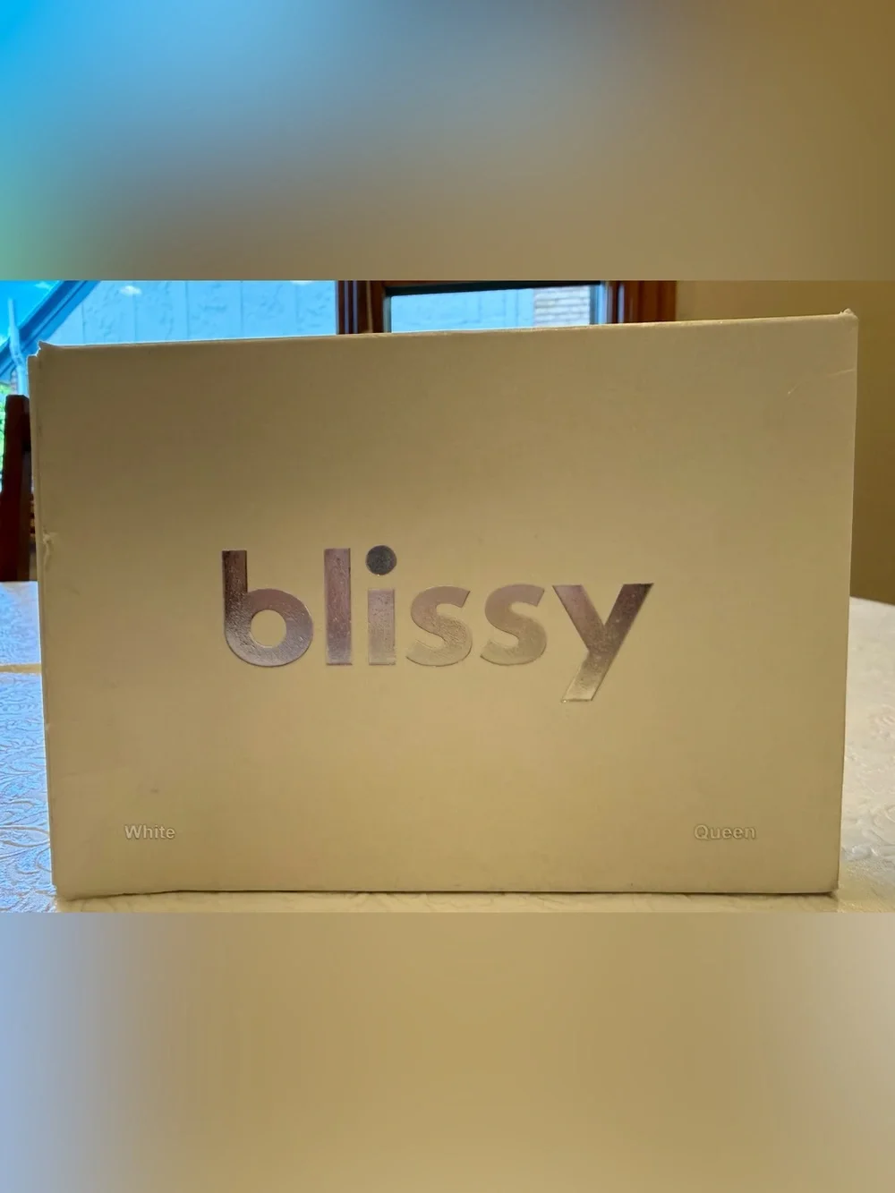 Blissy 100% Pure Mulberry Silk Pillowcase in Queen- White